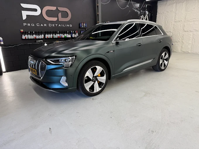Audi e-tron – lakbescherming